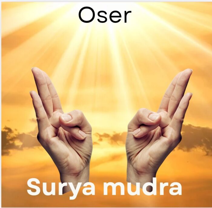 Screenshot_20260323-150604